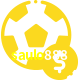 Aposte em esportes do mundo todo no saulo888!
