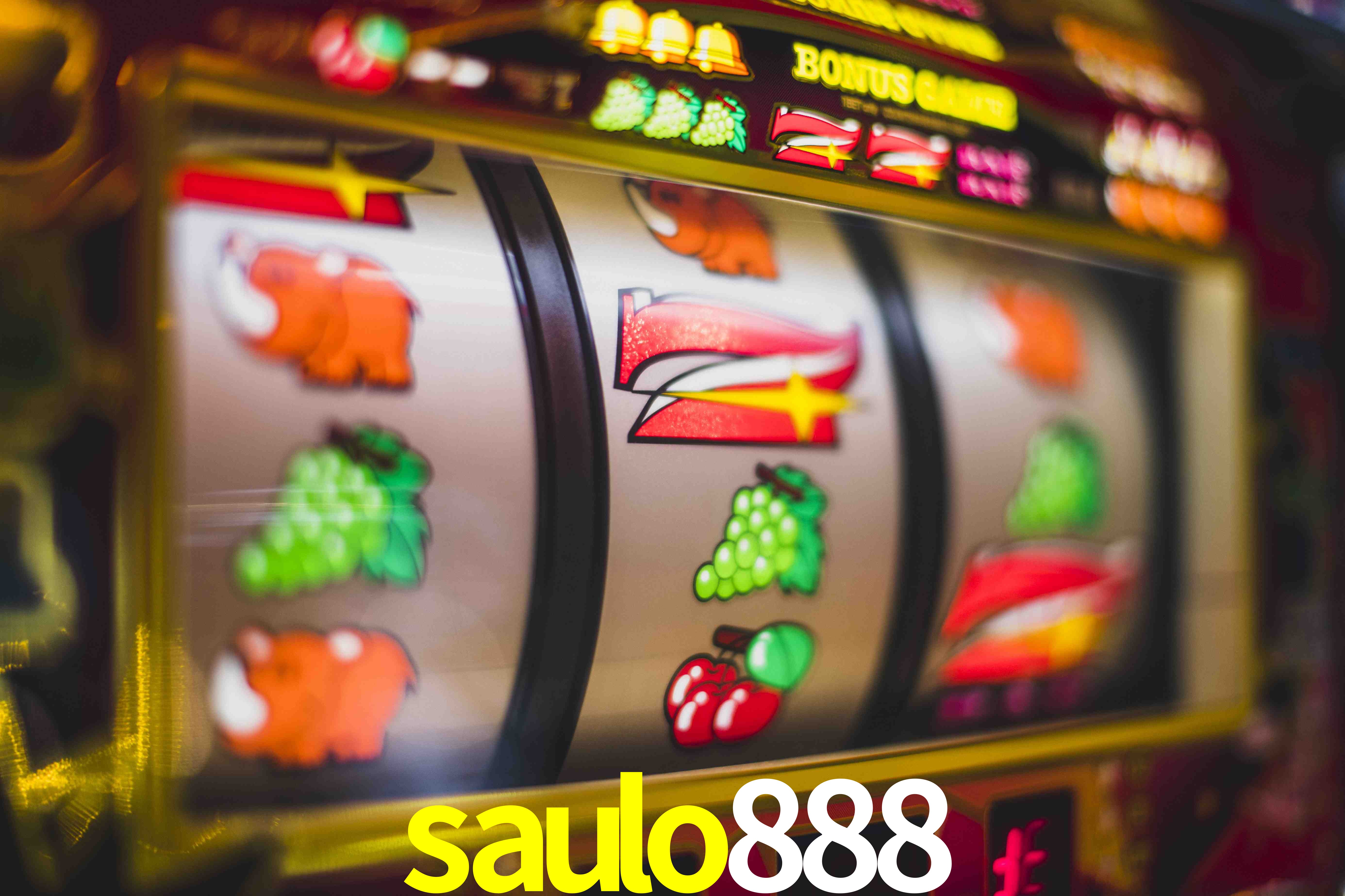 Basketball Betting saulo888
